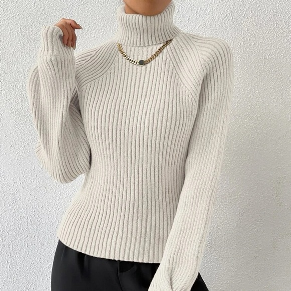 🍦𝐒𝐇𝐄𝐈𝐍 𝑇𝑢𝑟𝑡𝑙𝑒𝑛𝑒𝑐𝑘 𝑤ℎ𝑖𝑡𝑒 𝑠𝑤𝑒𝑎𝑡𝑒𝑟🍦 - Picture 4 of 4